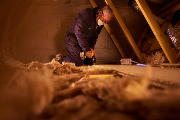 Professional Insulation Contractor in College Place, WA